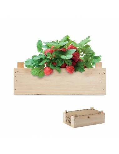 Strawberry kit in wooden crate STRAWBERRY | MO6506