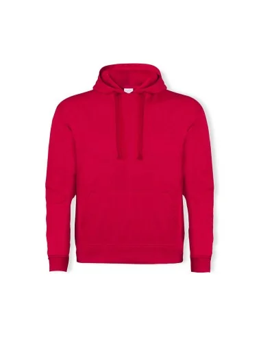 Sudadera Adulto con Capucha Harnix