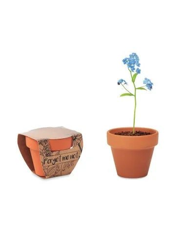 Terracotta pot 'forget me not' FORGET ME NOT