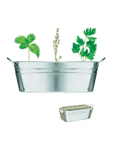 Zinc tub with 3 herbs seeds MIX SEEDS