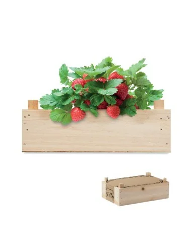 Kit de fresas en caja madera STRAWBERRY