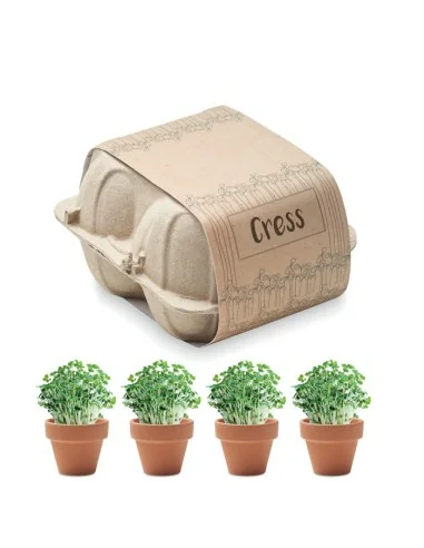 Egg carton growing kit CRESS